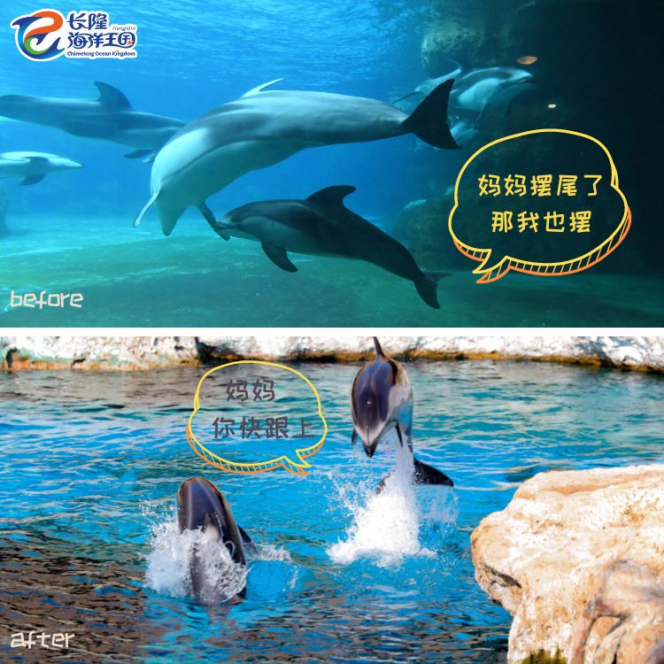 a6b621ad435604d2.jpg