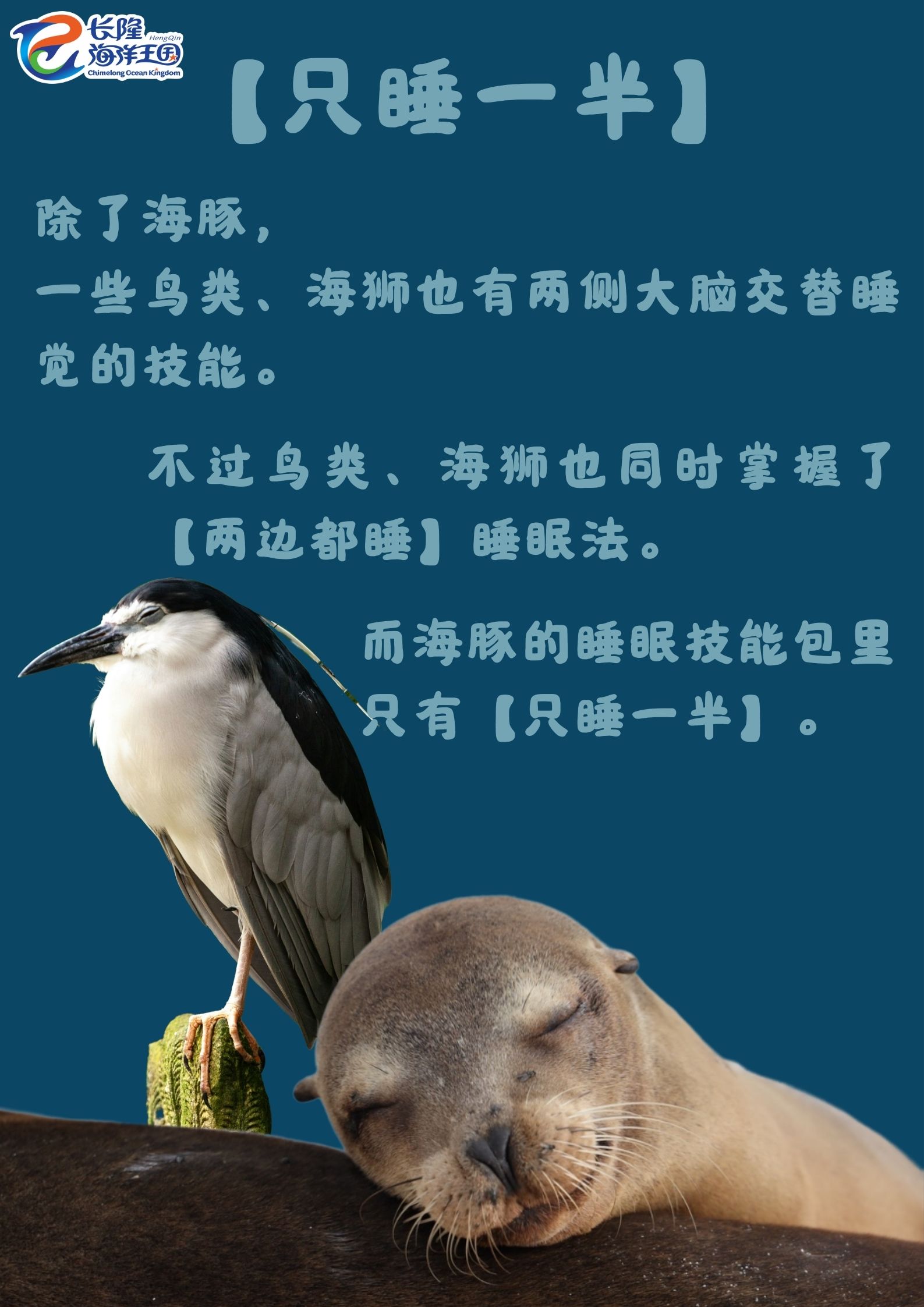 758bdafdf336352e.jpg