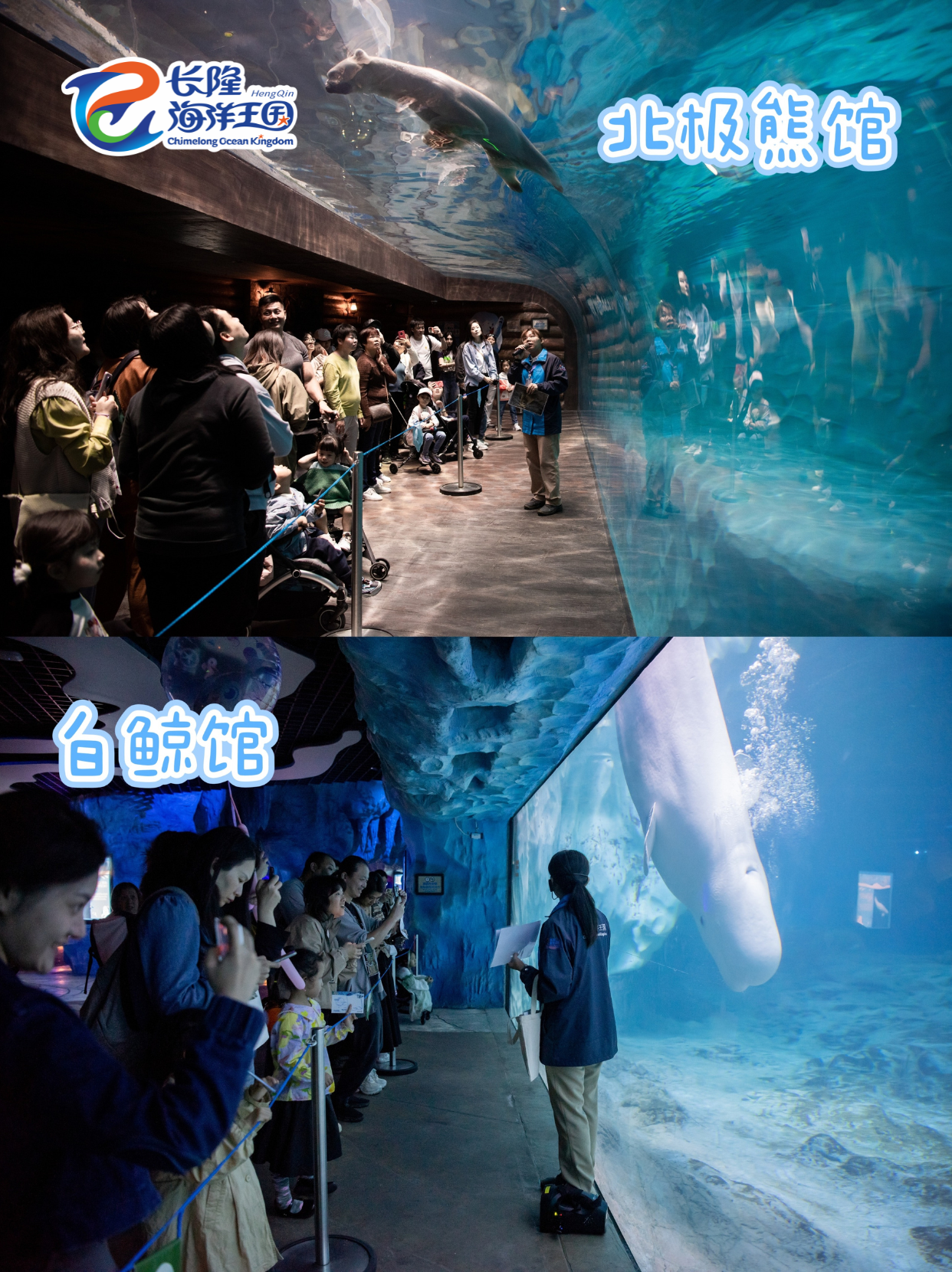 7eb531873f7e2679.png