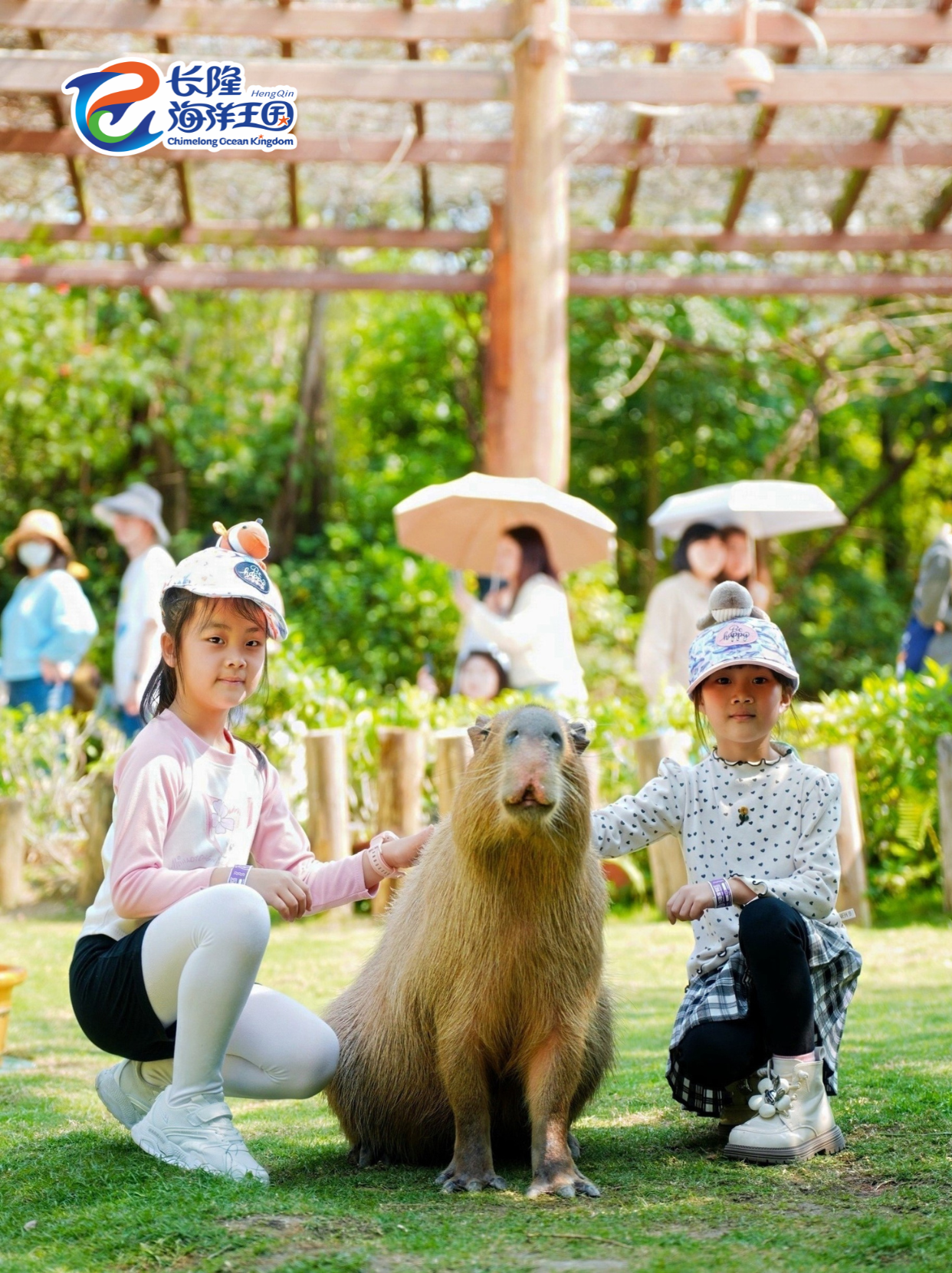 45c8b28c0db96110.png