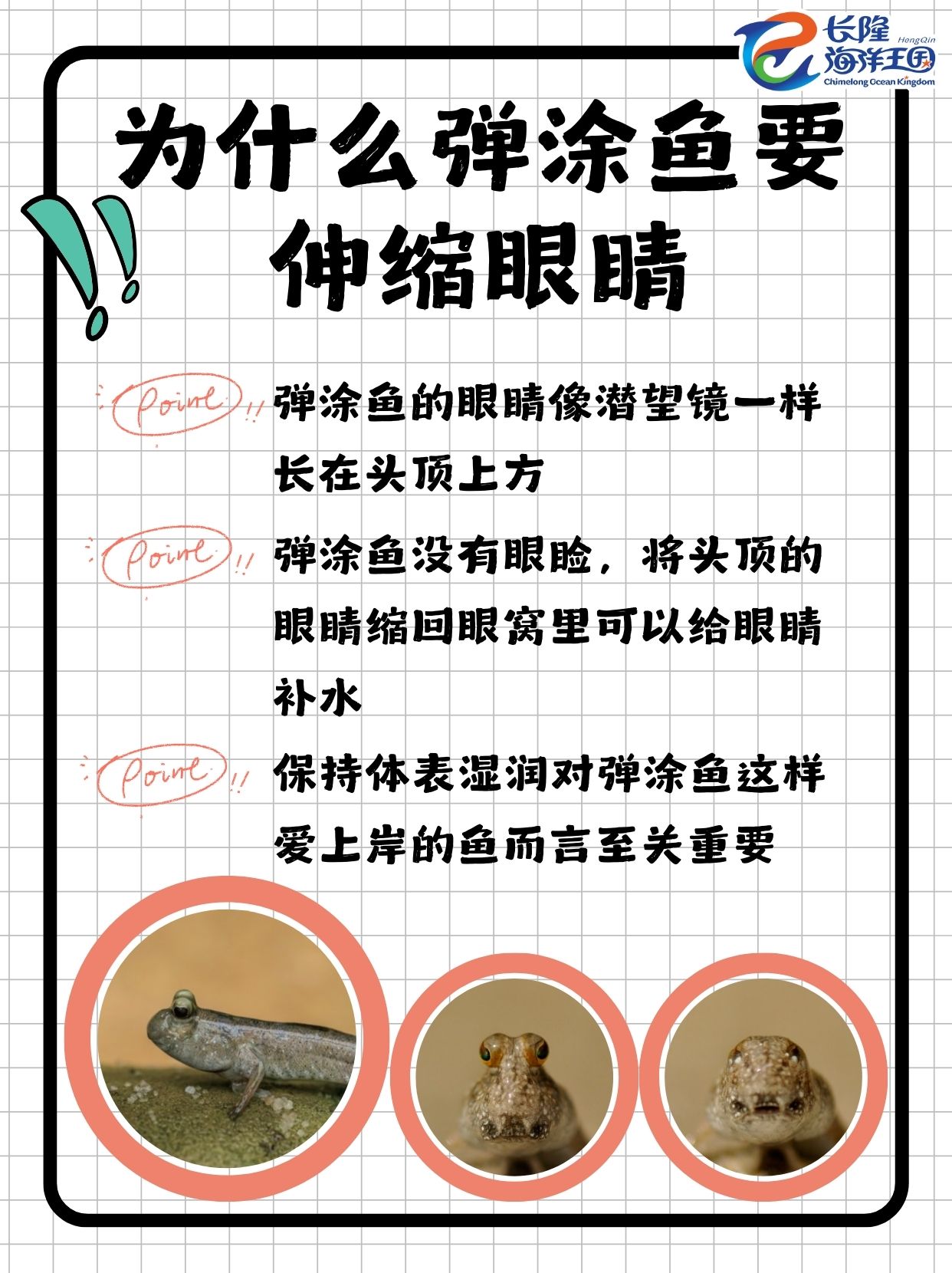 4ebef5d1ab417ca4.jpg